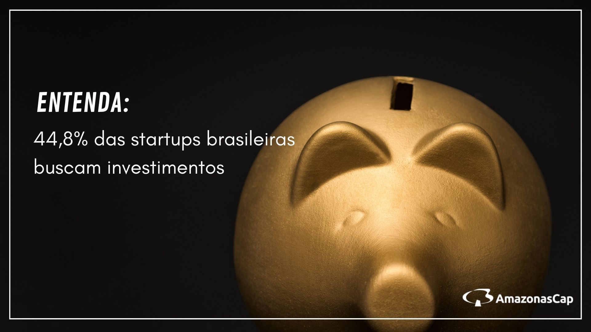 44,8% das startups brasileiras buscam investimentos