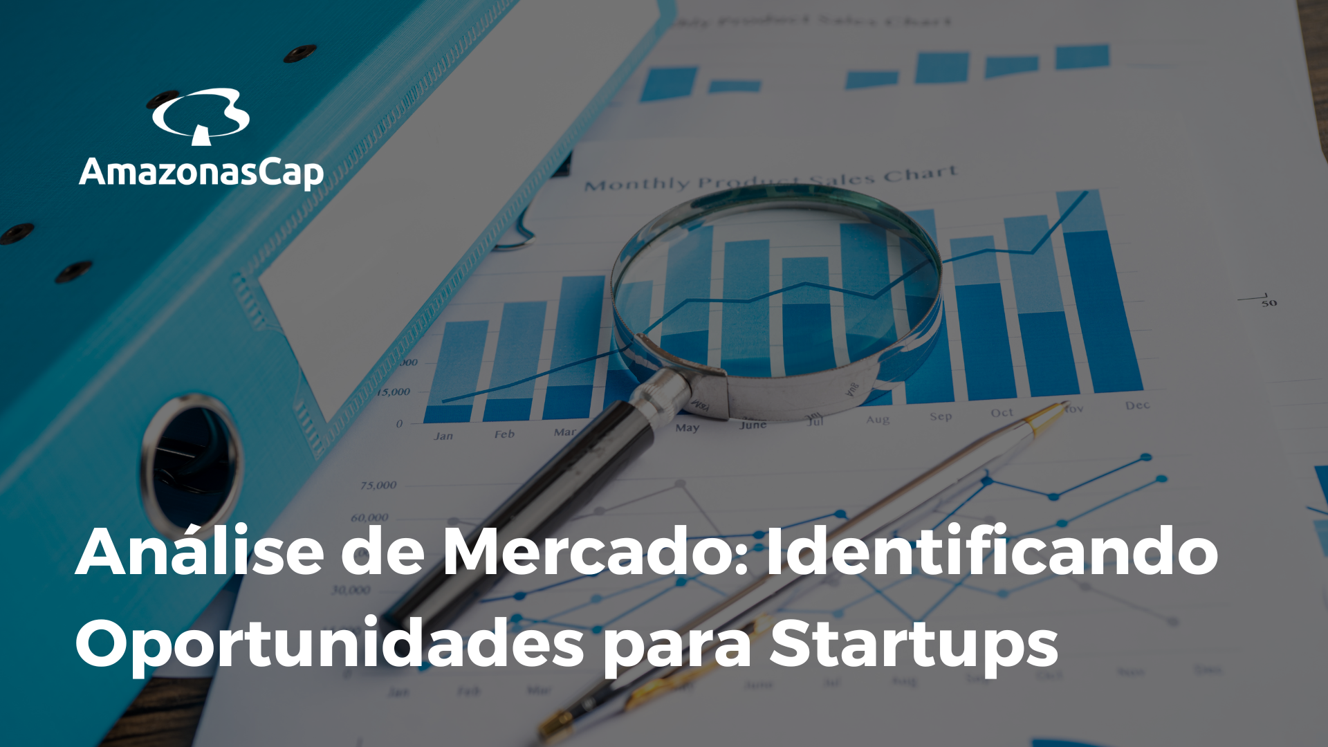 Análise de Mercado: Identificando Oportunidades para Startups